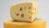 Maasdam Cheese